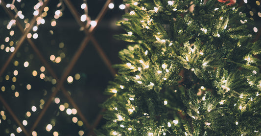 Tips For Saving Money On Your Energy Bill During The Holiday Season
