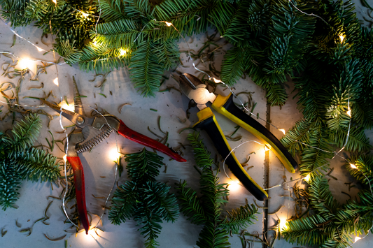 Maintenance and Troubleshooting Tips for Keeping Your Christmas Lights Bright