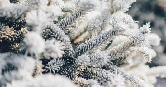 How to Budget During the Christmas Season