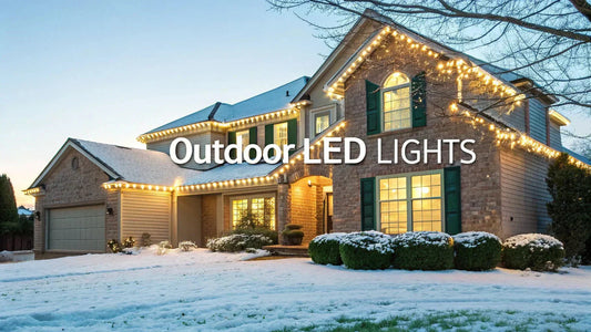 Best Outdoor LED Christmas Lights
