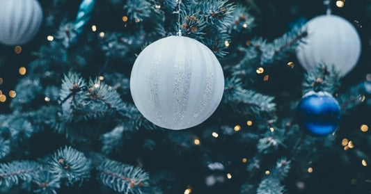 It’s Never Too Early to Start Planning for Christmas!