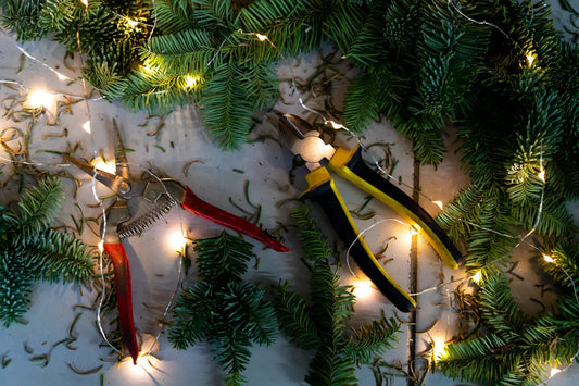 Maintenance and Troubleshooting Tips for Keeping Your Christmas Lights Bright