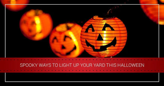 Spooky Ways To Light Up Your Yard This Halloween