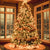 Christmas Tree Lighting Bundles