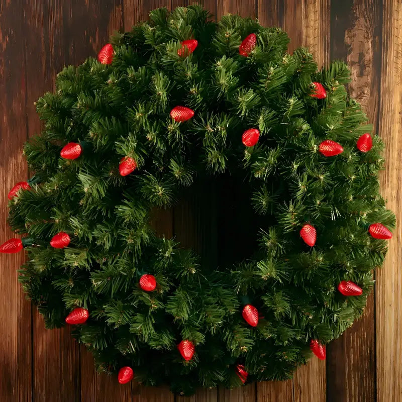 25 C7 Red LED Christmas Lights 8’’ Spacing - Christmas Lights