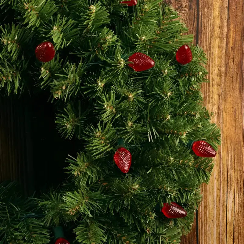 25 C7 Red LED Christmas Lights 8’’ Spacing - Christmas Lights