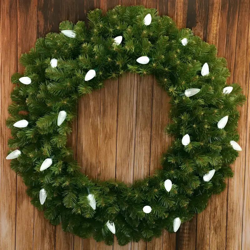 25 C9 Cool White LED Christmas Lights 8’’ Spacing - Christmas Lights