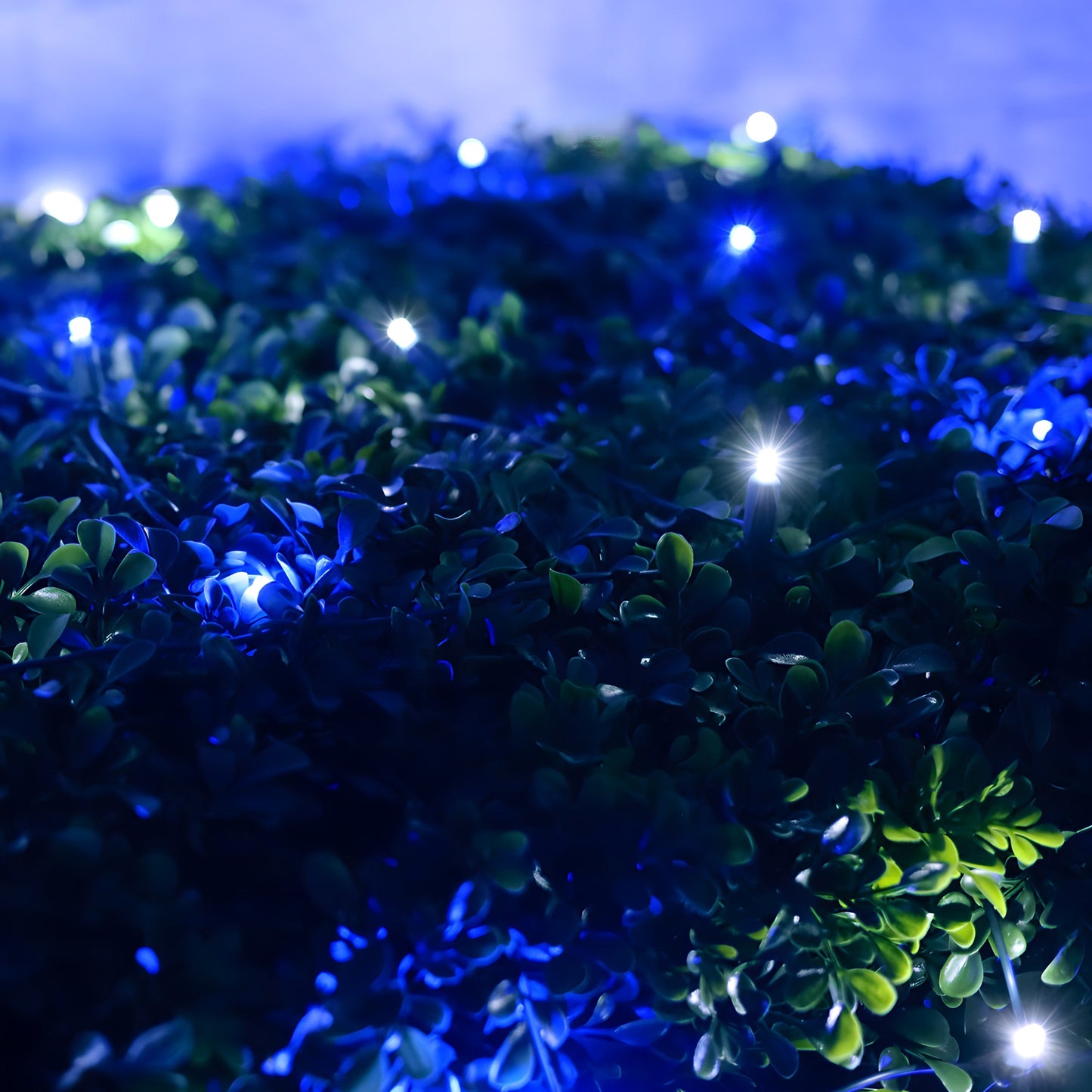 4’ x 6’ Blue and Cool White 5mm LED Smooth Fade DreamSpark Net Lights - Christmas Lights