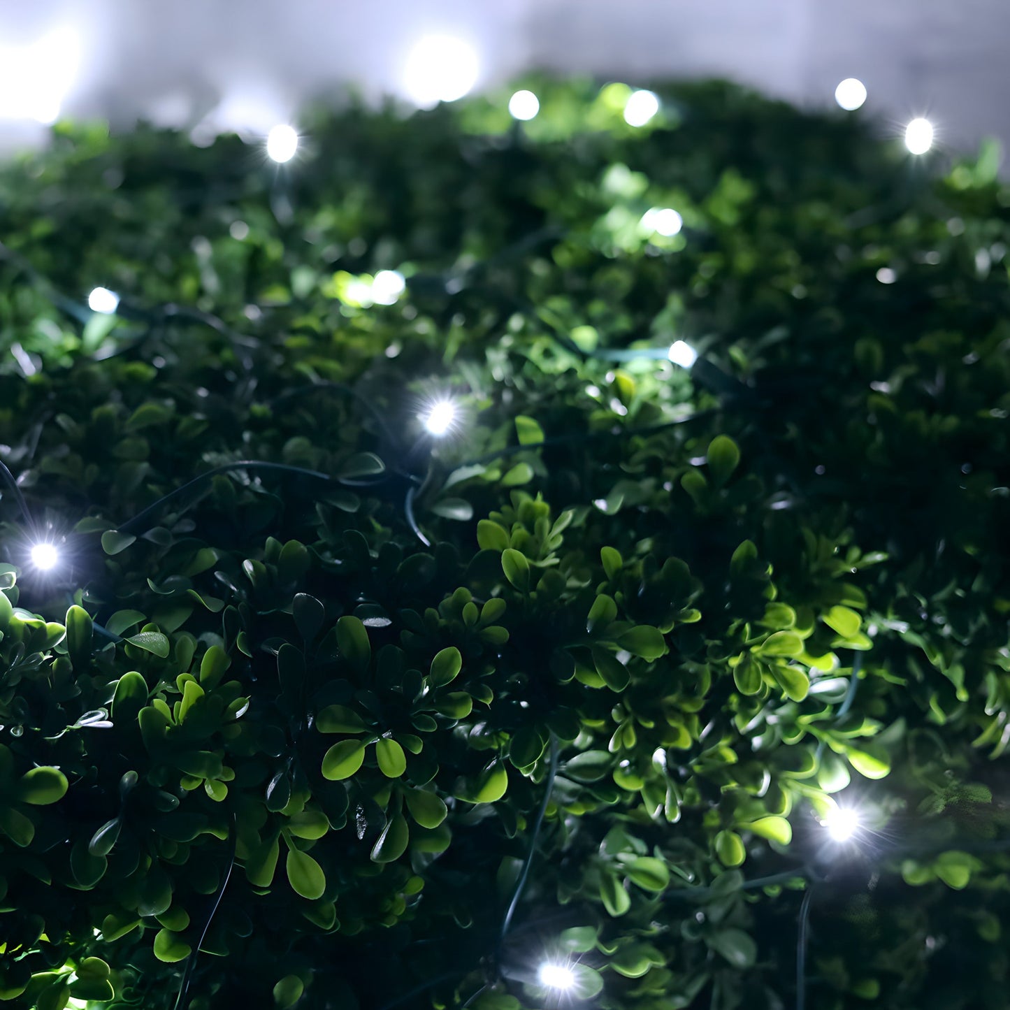 4’ x 6’ Cool White 5mm LED Christmas Net Lights TWINKLE - Christmas Lights