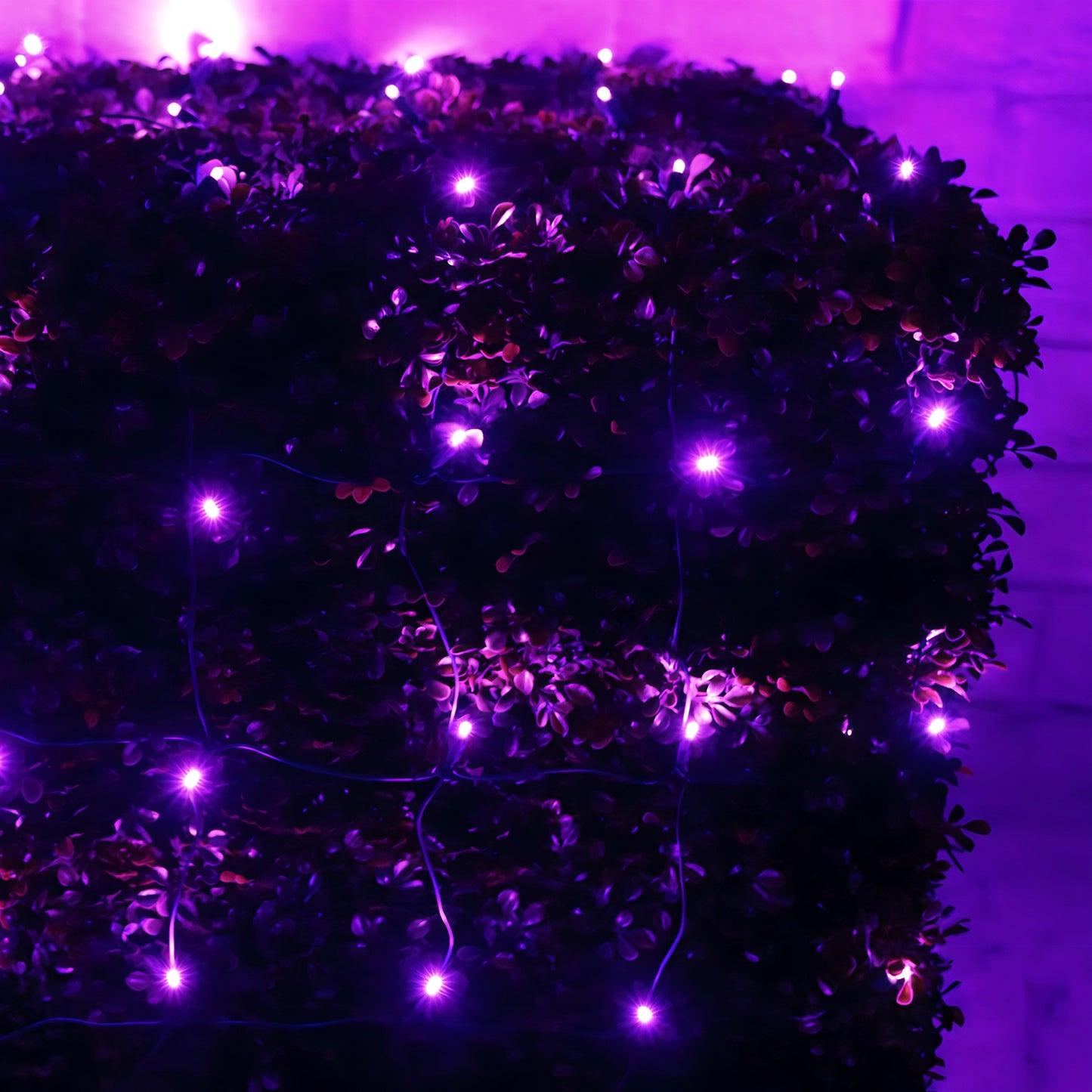 4’ x 6’ Purple 5mm LED Christmas Net Lights - Christmas Lights