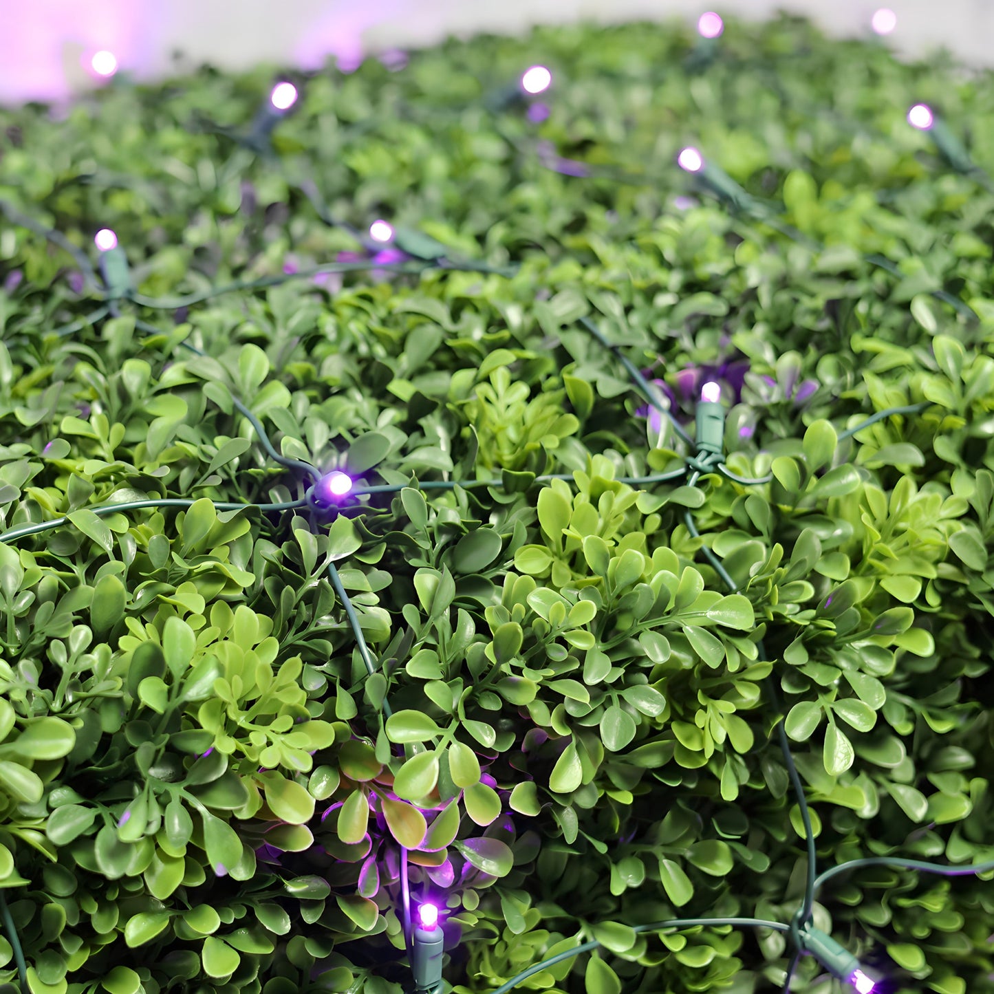 4’ x 6’ Purple 5mm LED Christmas Net Lights - Christmas Lights