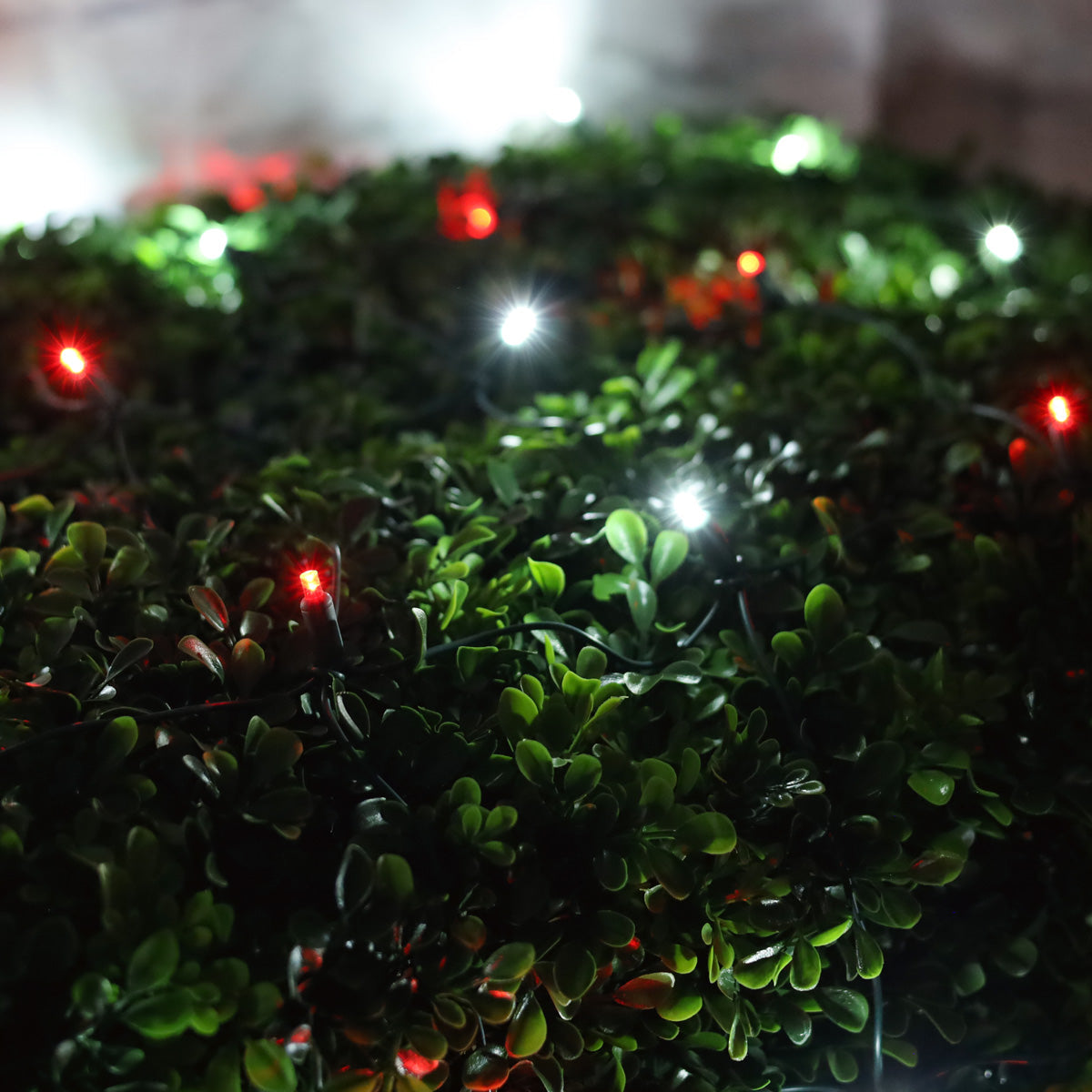 4’ x 6’ Red and Cool White 5mm LED Christmas Net Lights - Christmas Lights