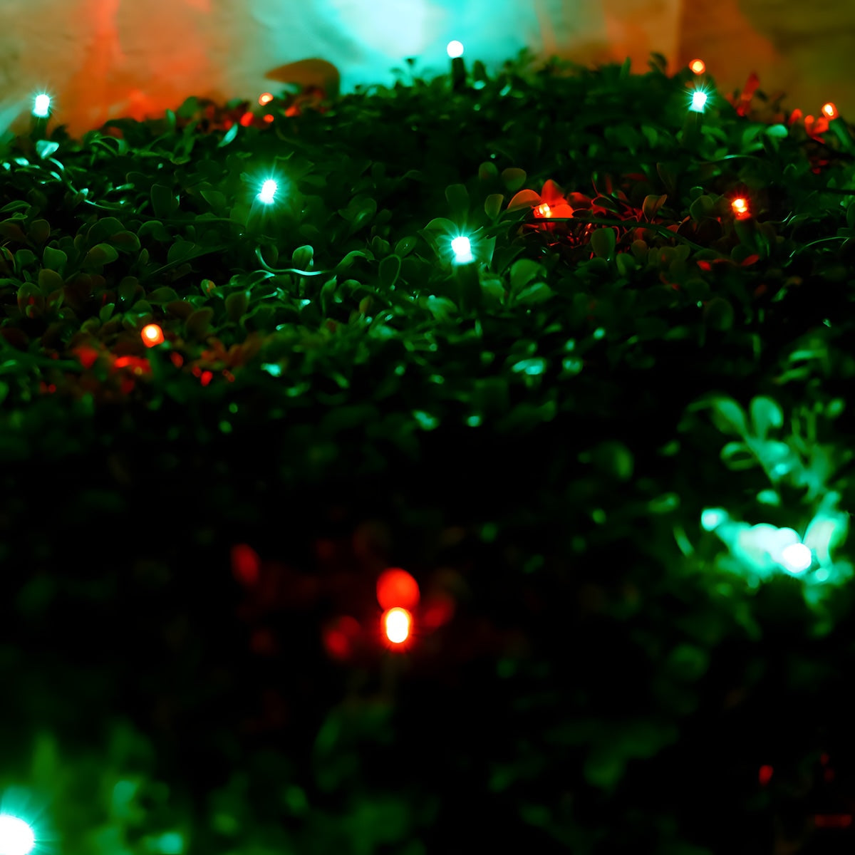 4’ x 6’ Red and Green 5mm LED Christmas Net Lights - Christmas Lights