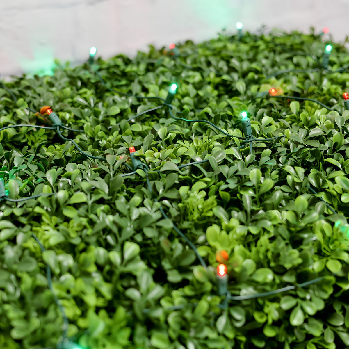 4’ x 6’ Red and Green 5mm LED Christmas Net Lights - Christmas Lights