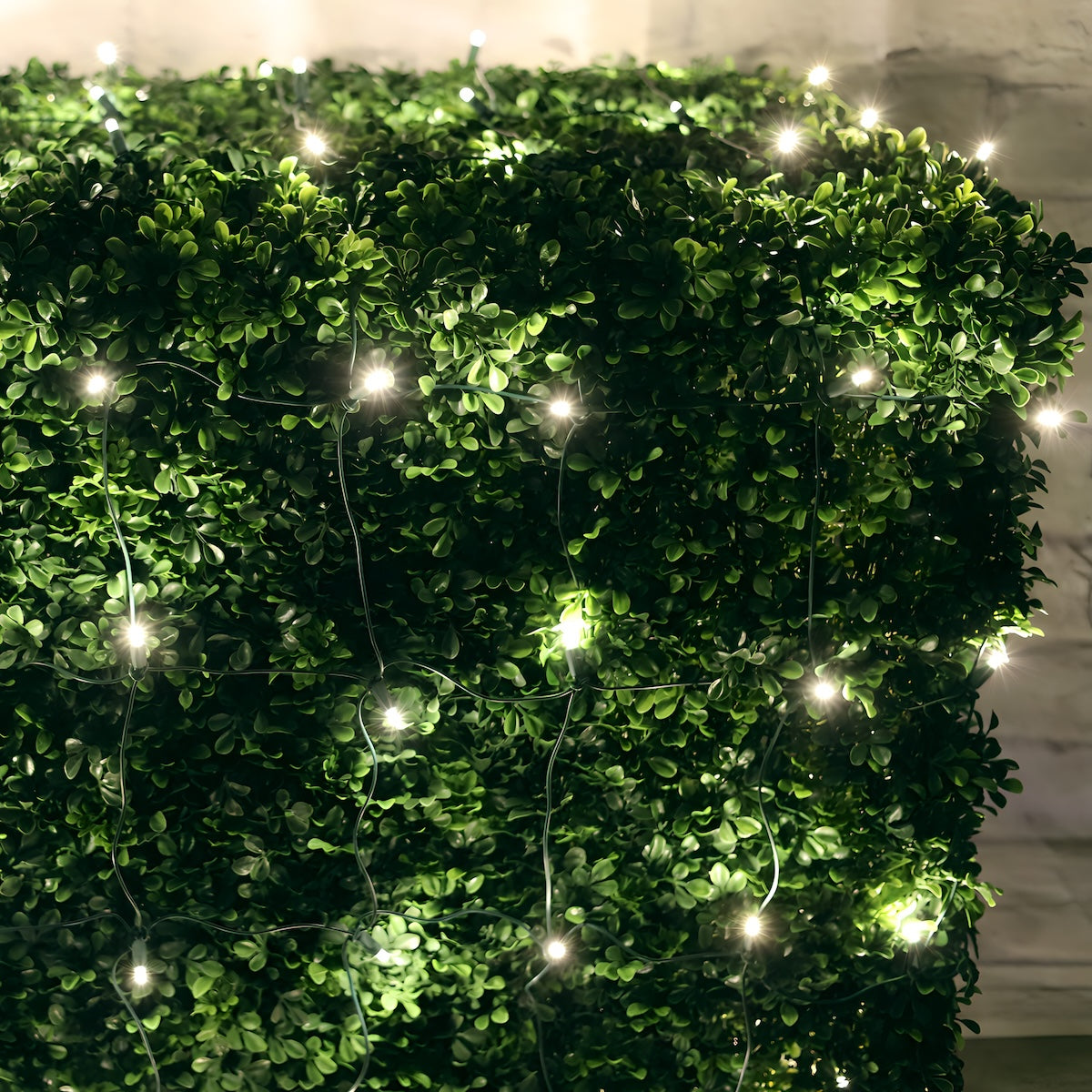 4’ x 6’ Warm White 5mm LED Christmas Net Lights - Christmas Lights