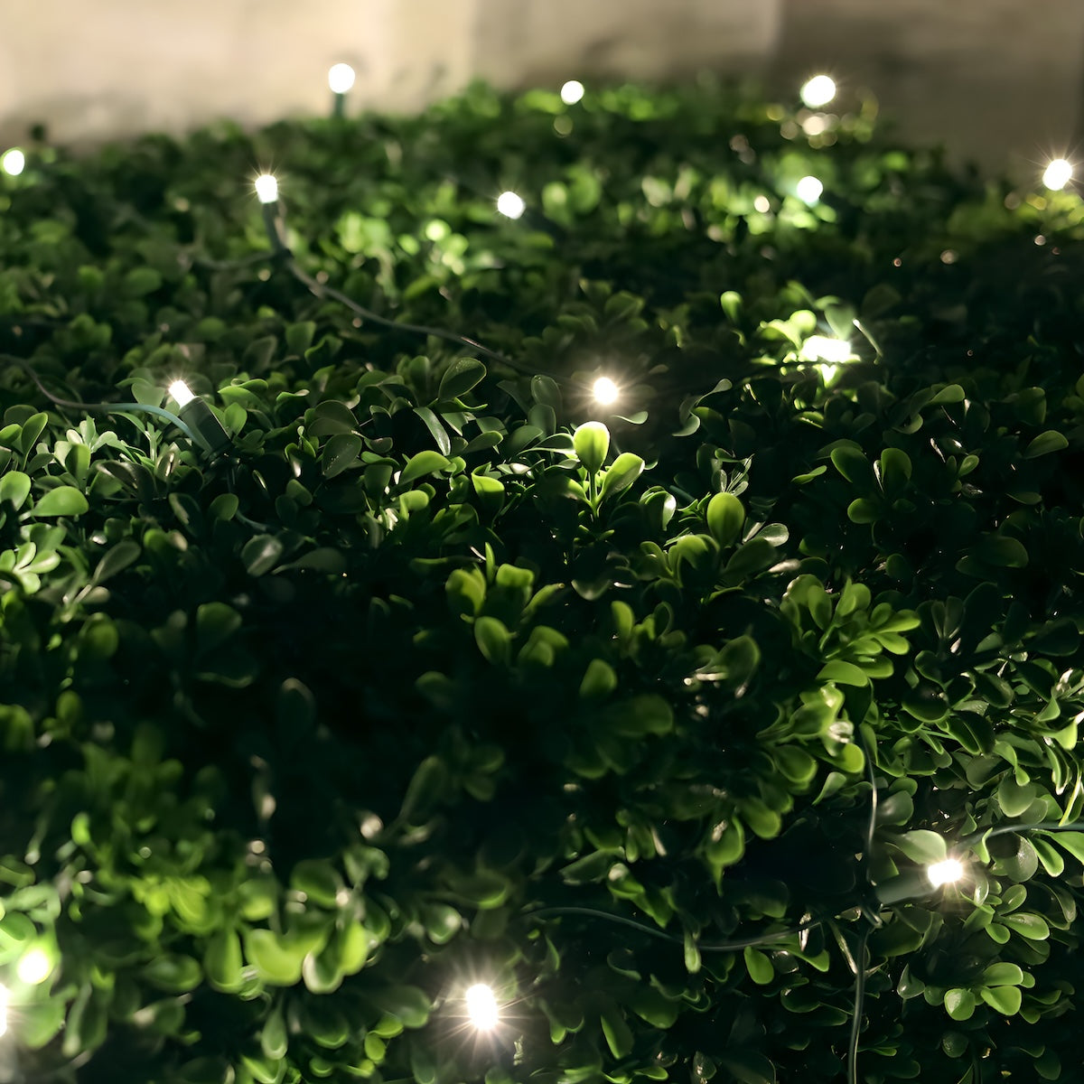 4’ x 6’ Warm White 5mm LED Christmas Net Lights TWINKLE - Christmas Lights