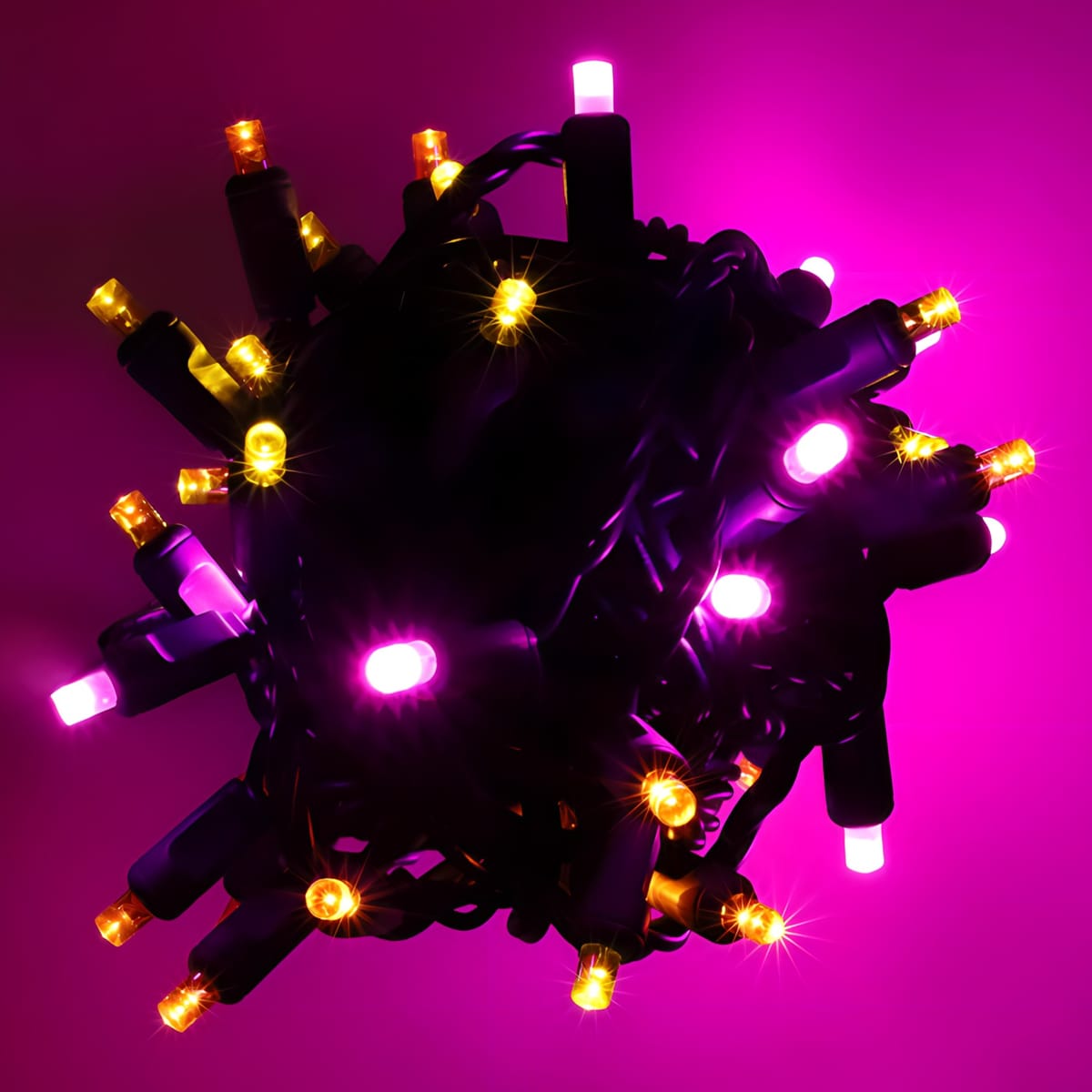 50 5mm ColorSplash Candy Multicolor LED Christmas Lights 6’’ Spacing - Christmas Lights
