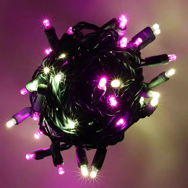 50 5mm ColorSplash Pink Taffy Warm White Pink LED Christmas Lights 6’’ Spacing Christmas Lights