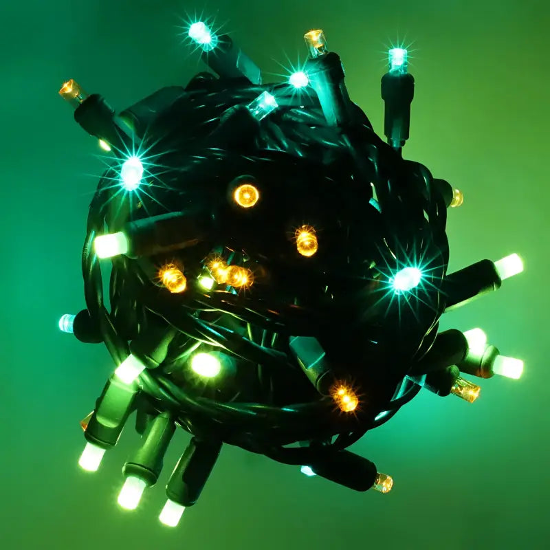 50 5mm ColorSplash Shamrock Green Lime Green Gold LED Christmas Lights 6’’ Spacing Christmas Lights