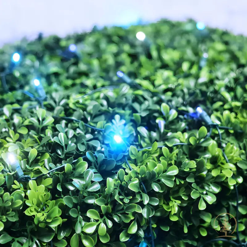 5mm 4’ x 6’ Arctic Blue Cool White Teal DreamSpark Smooth Fade LED Net Lights - Christmas Lights