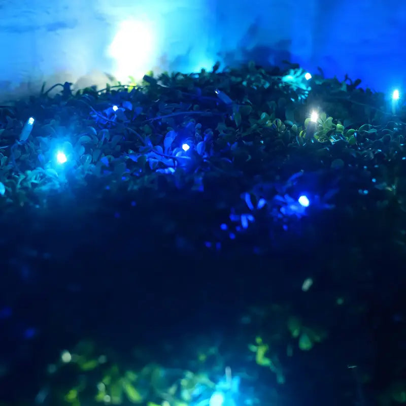 5mm 4’ x 6’ Arctic Blue Cool White Teal DreamSpark Smooth Fade LED Net Lights - Christmas Lights