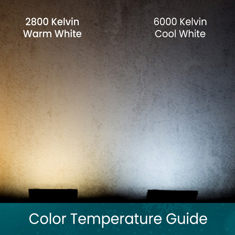 5mm 4’ x 6’ Champagne Warm White Pure White Cool White DreamSpark Smooth Fade LED Net Lights - Christmas Lights