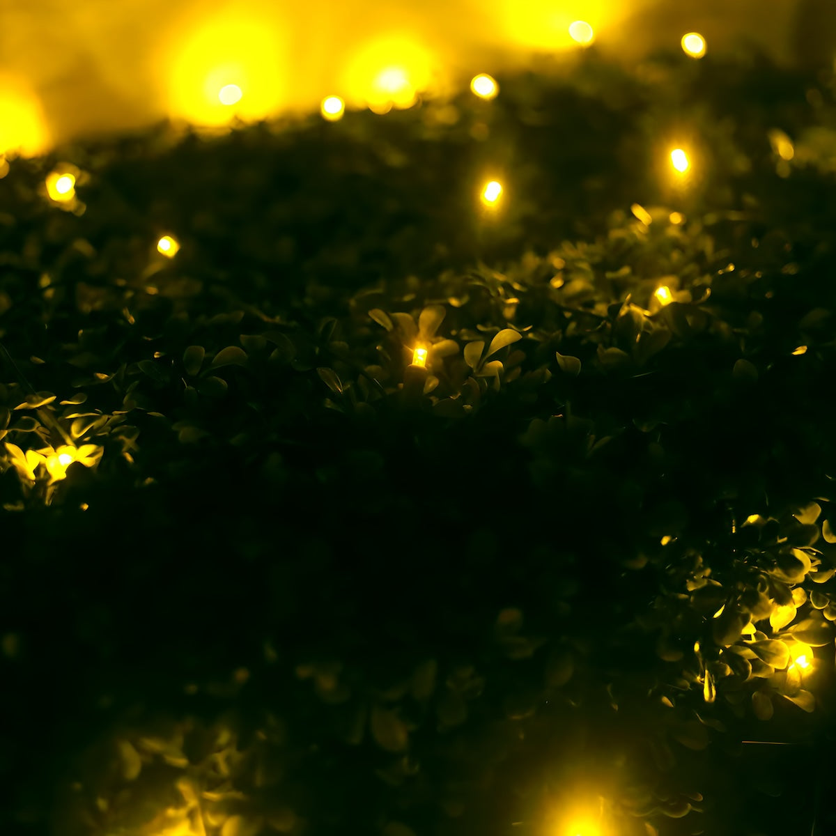 5mm 4’ x 6’ Gold DreamSpark Smooth Fade LED Net Lights - Christmas Lights