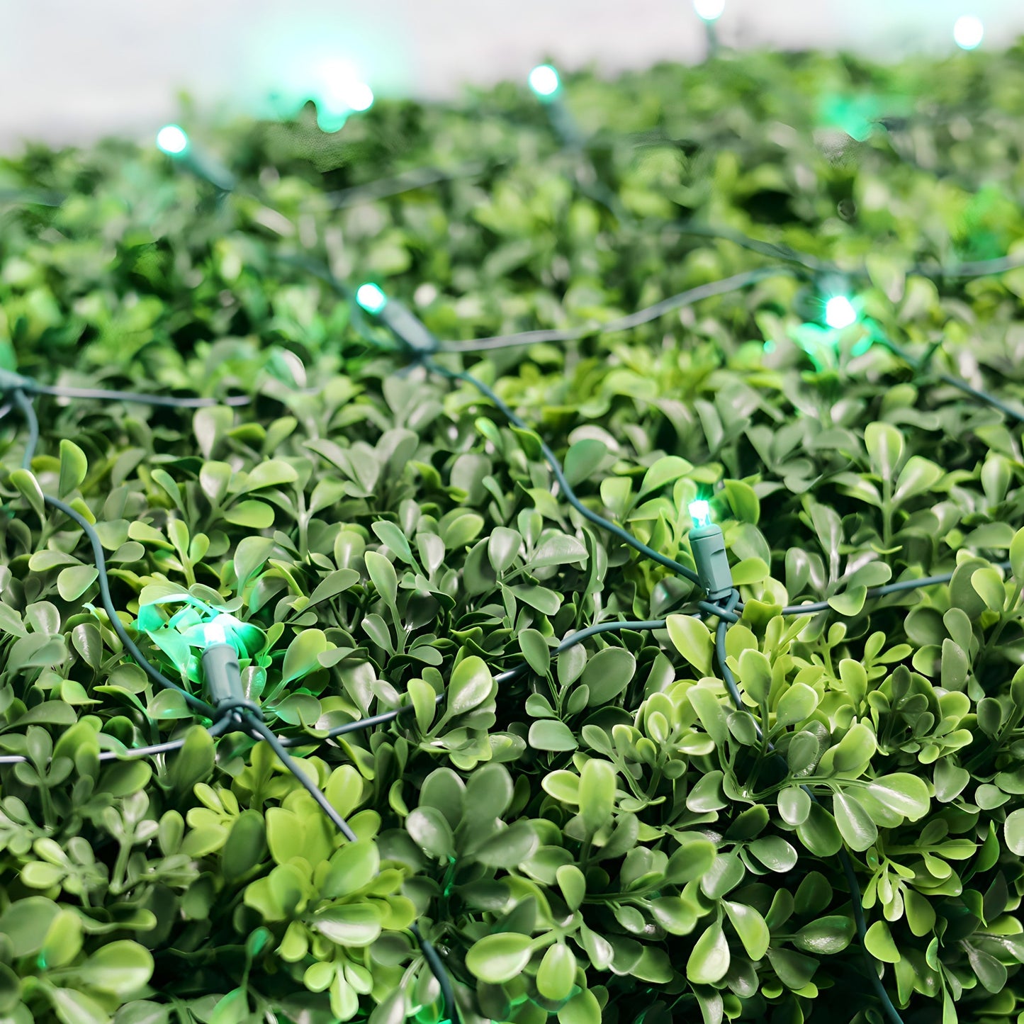 5mm 4’ x 6’ Green LED Net Lights - Christmas Lights