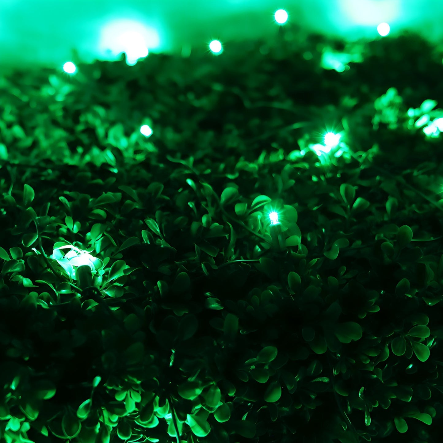5mm 4’ x 6’ Green LED Net Lights - Christmas Lights