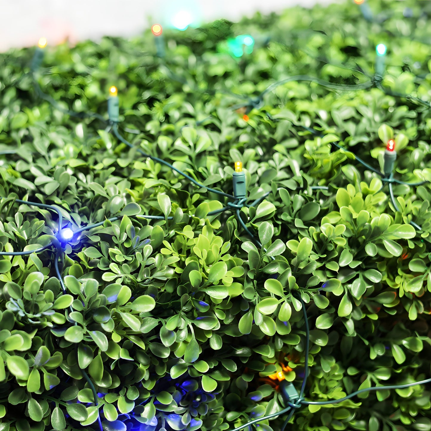 5mm 4’ x 6’ Multicolor LED Net Lights - Christmas Lights