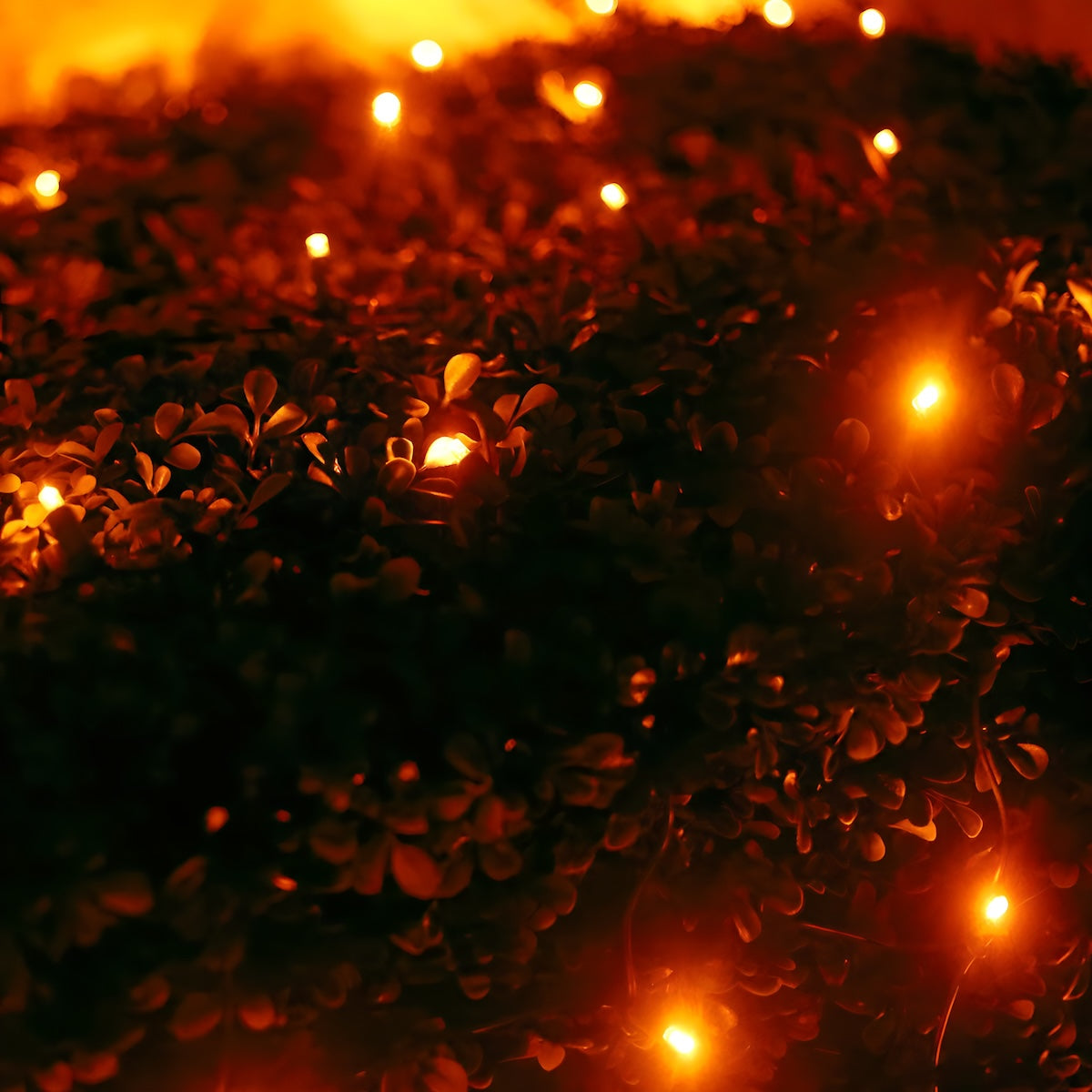 5mm 4’ x 6’ Orange LED Net Lights - Christmas Lights