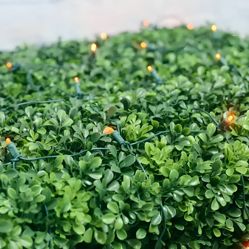5mm 4’ x 6’ Orange LED Net Lights - Christmas Lights