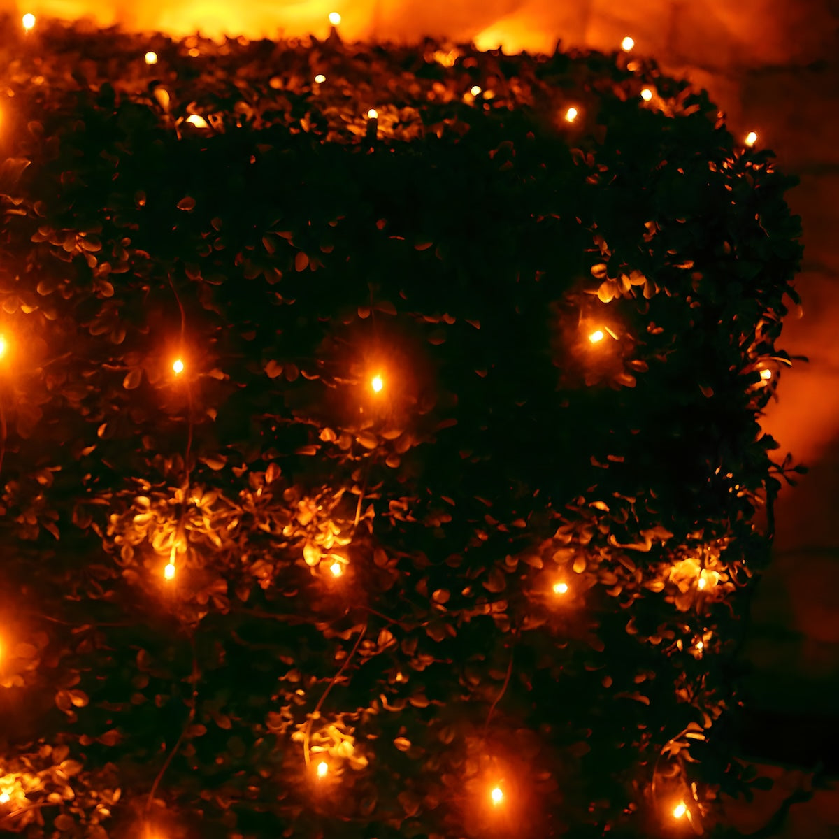 5mm 4’ x 6’ Orange LED Net Lights - Christmas Lights