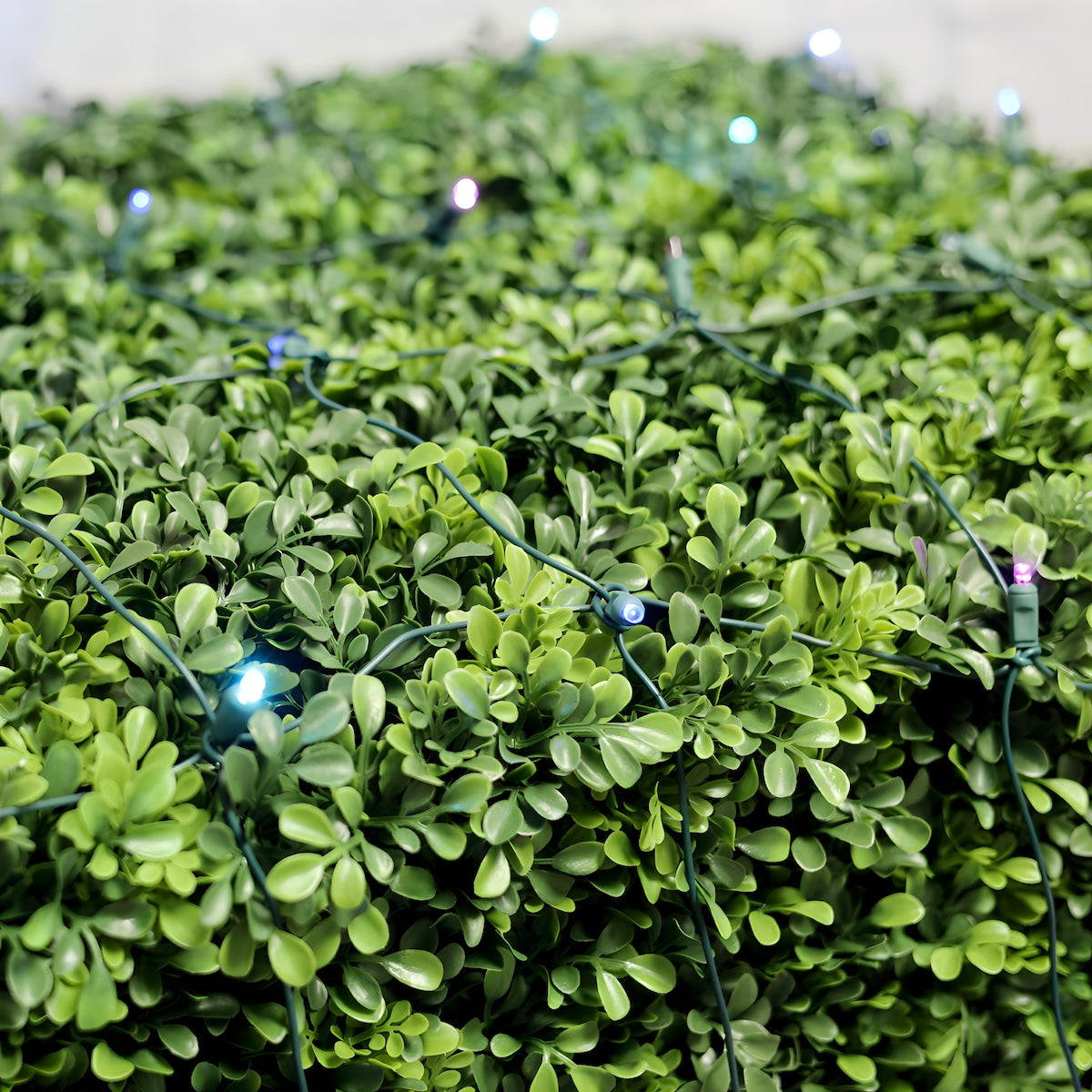 5mm 4’ x 6’ Stardust Blue Purple Teal DreamSpark Smooth Fade LED Net Lights - Christmas Lights