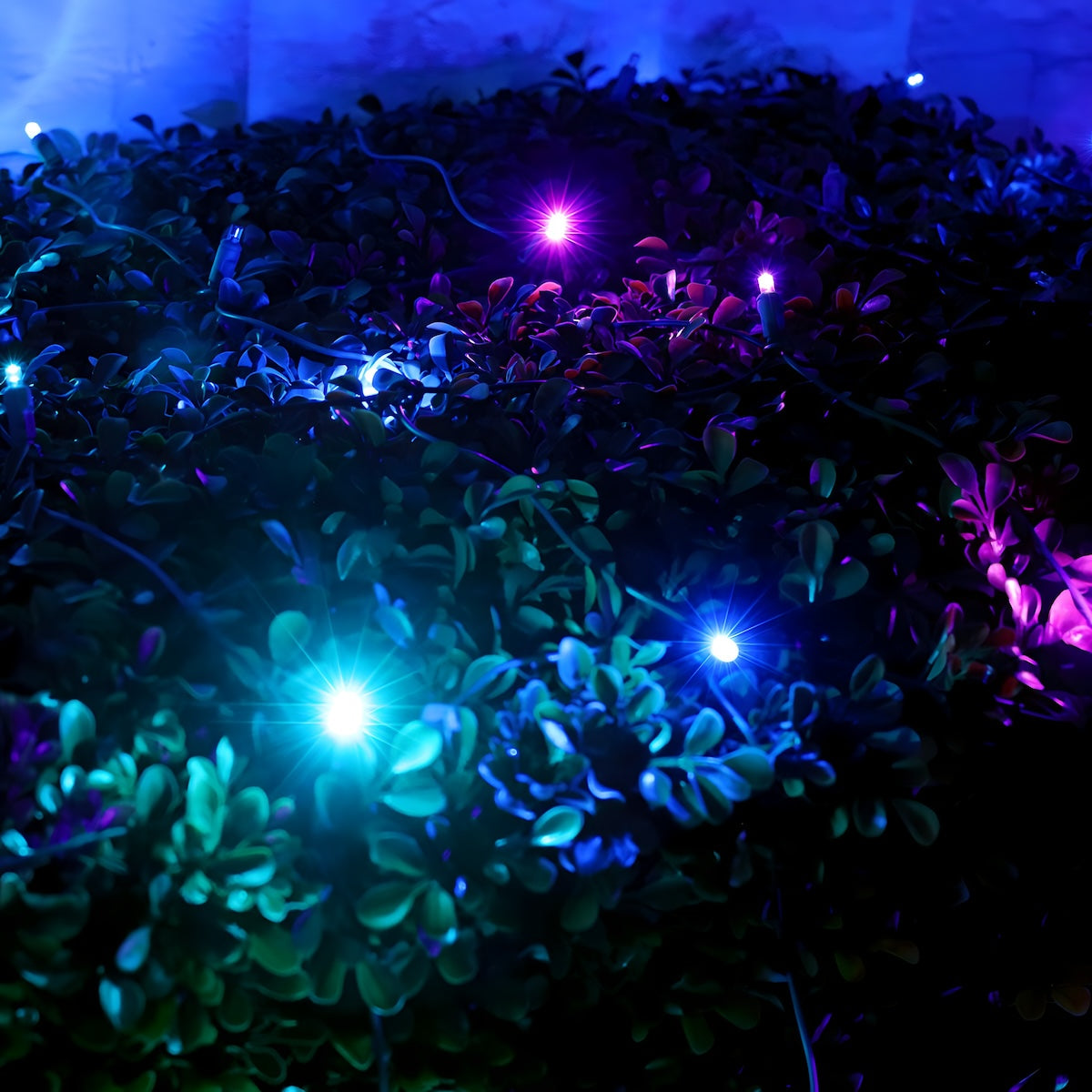 5mm 4’ x 6’ Stardust Blue Purple Teal DreamSpark Smooth Fade LED Net Lights - Christmas Lights