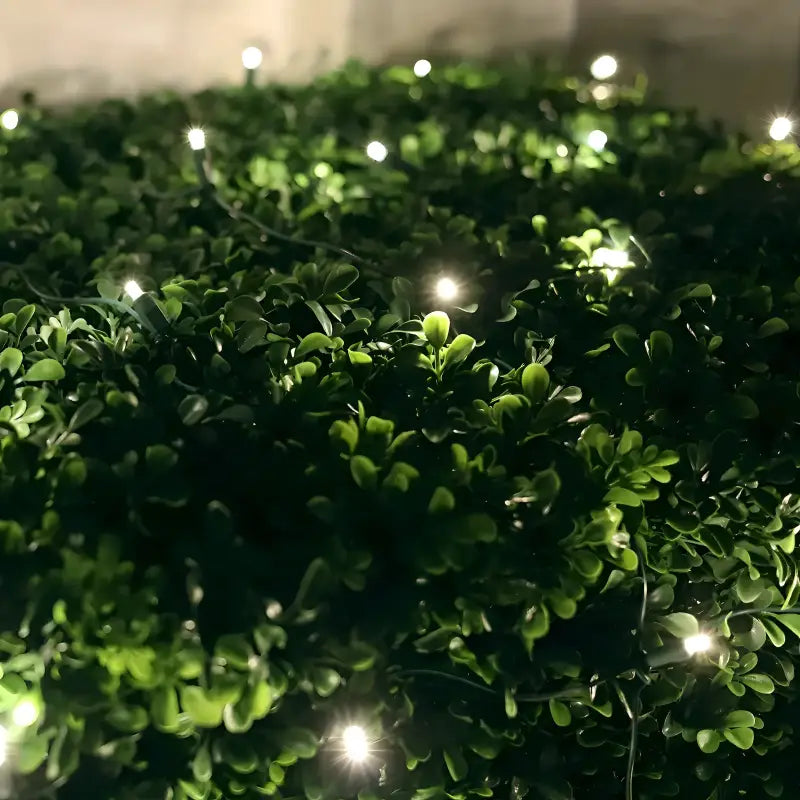 5mm 4’ x 6’ Warm White Twinkle LED Net Lights Christmas Lights