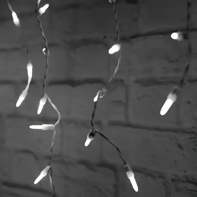 Cool White 70-count M5 LED icicle Christmas lights on white wire