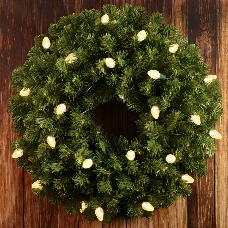 25 C7 Warm White LED Christmas Lights 8’’ Spacing - Christmas Lights