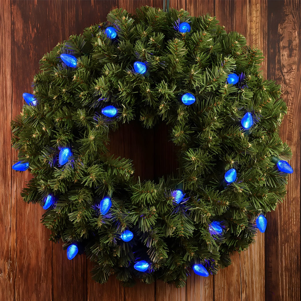C7 Blue LED Christmas Light Bulb String Light Set Faceted 8’’ Spacing 25 Non Removable Bulbs - Christmas Lights