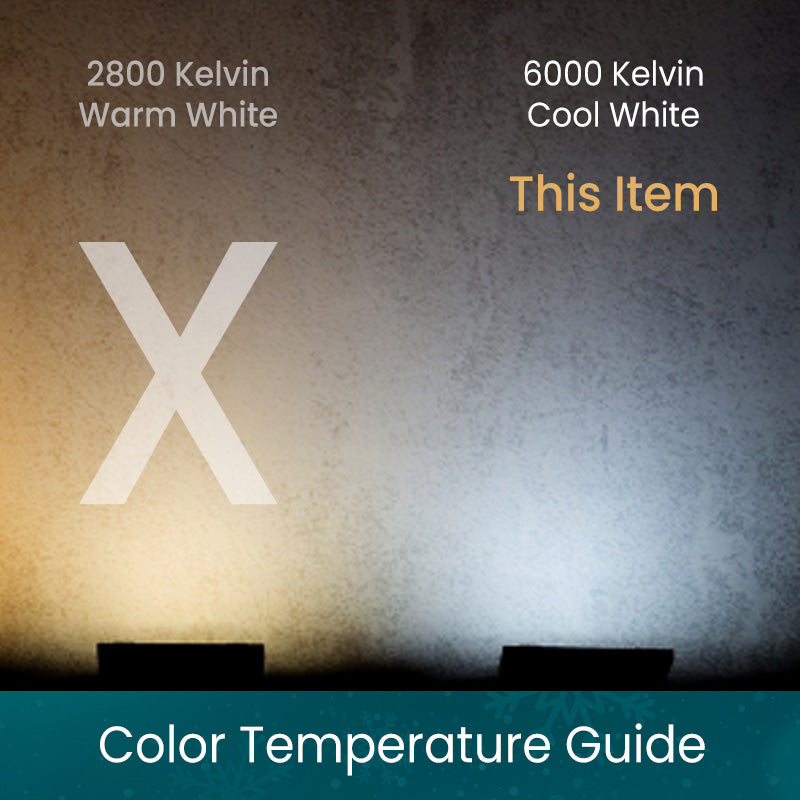 C7 Cool White ProCore LED Christmas Light Bulb String Light Set Faceted 25 Lights 25’ - Christmas Lights