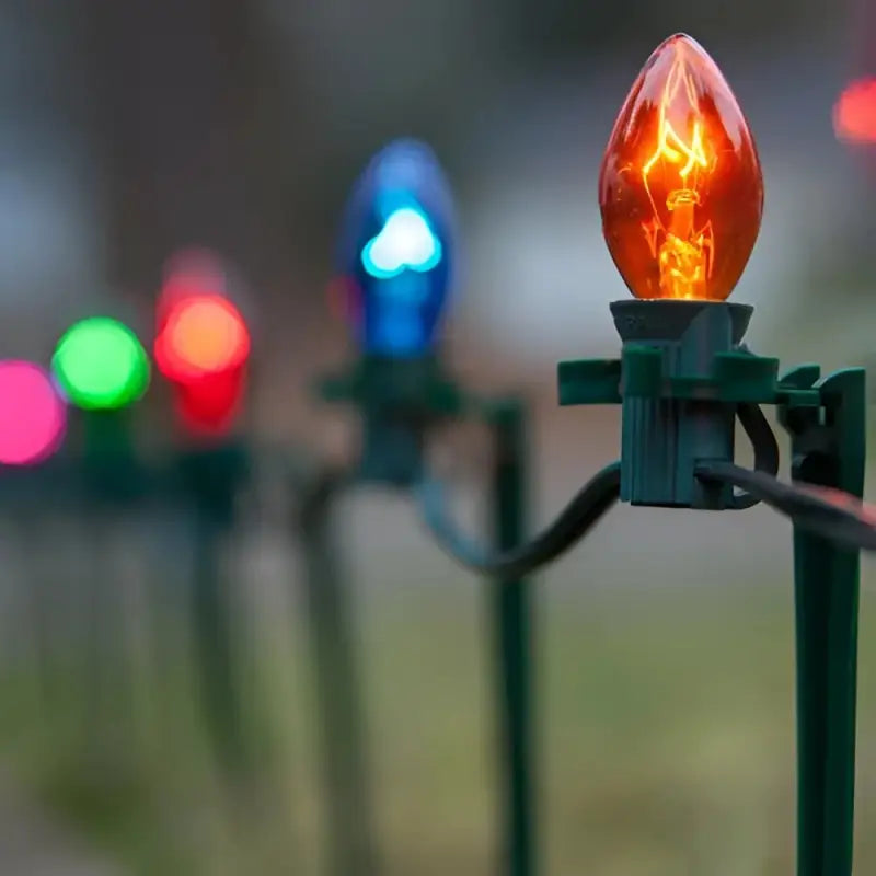 C7 Incandescent Christmas Light Bulbs Multicolor Transparent Pack of 25 - Christmas Lights