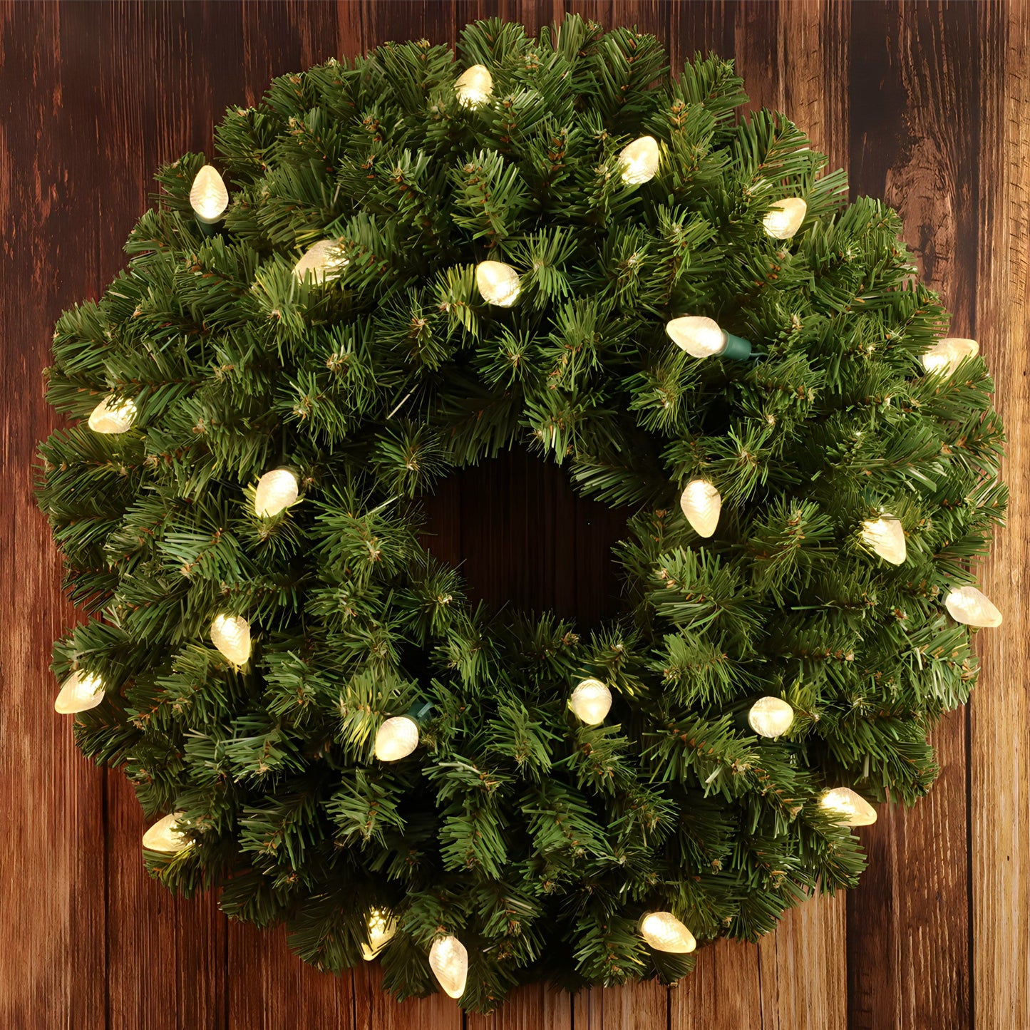C7 Warm White LED Christmas Light Bulb String Light Set Faceted 8’’ Spacing 25 Non Removable Bulbs - Christmas Lights