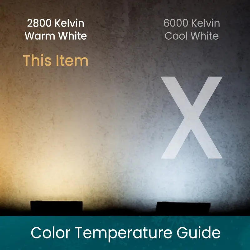 C9 Warm White ProCore LED Christmas Light Bulb String Light Set 25 Lights 25’ Christmas Lights