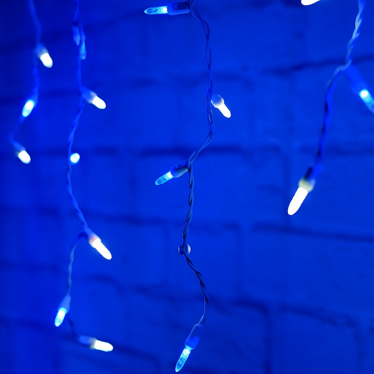 M5 Blue and Cool White LED Icicle Lights 70 Bulbs 7.5ft Long White Wire - Christmas Lights