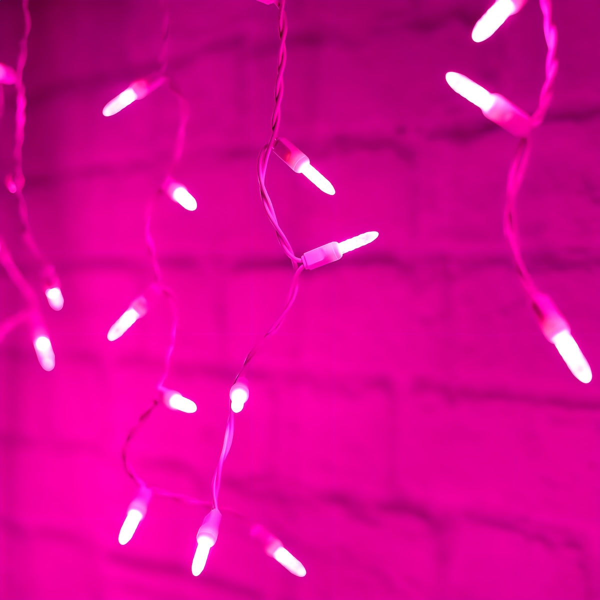 M5 Pink LED Icicle Lights 70 Bulbs 7.5ft Long White Wire - Christmas Lights