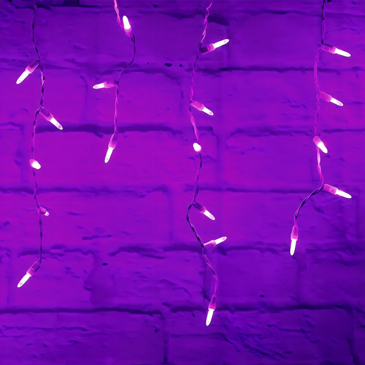 M5 Purple LED Icicle Lights 70 Bulbs 7.5ft Long White Wire - Christmas Lights