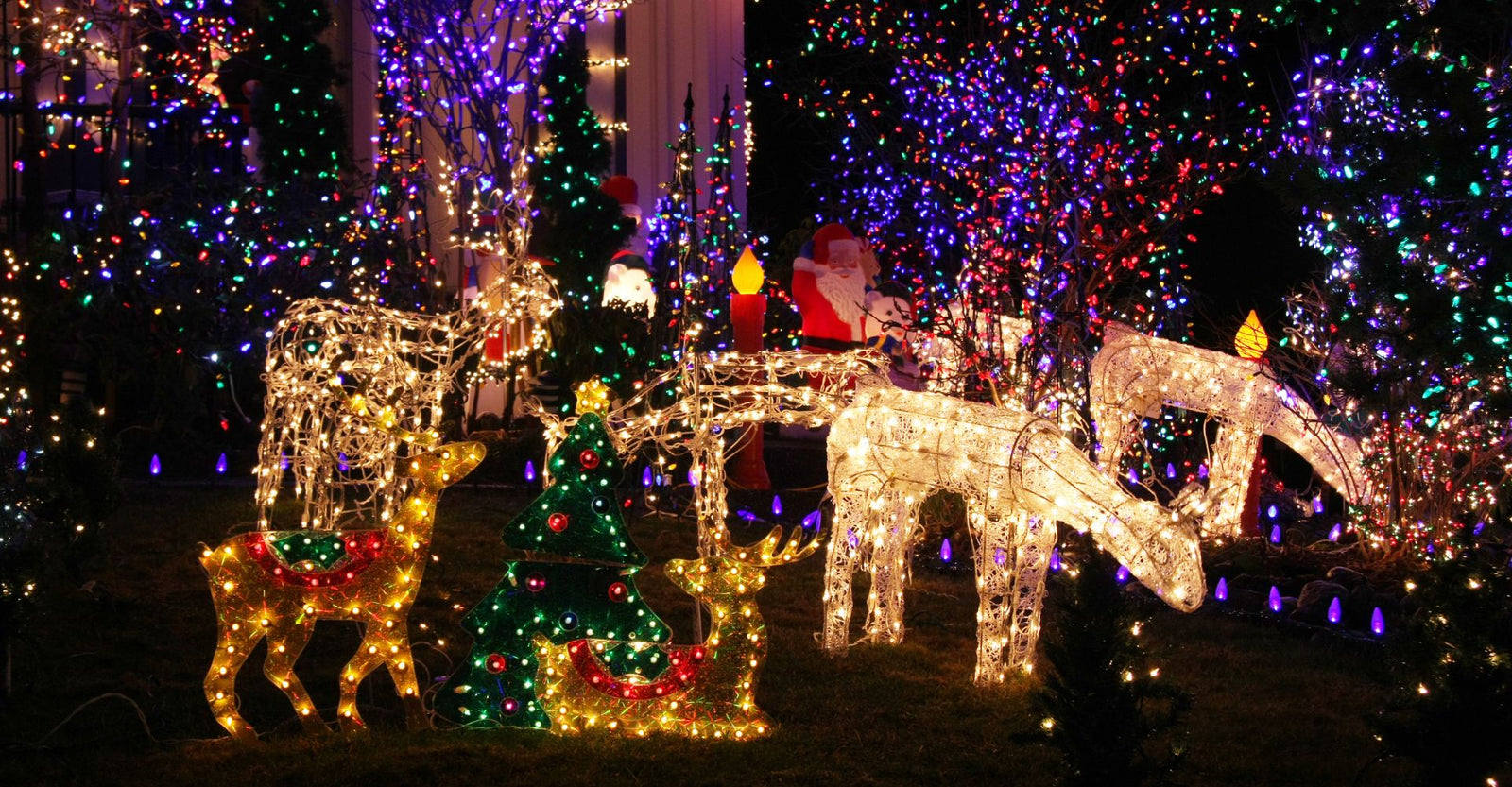 https://thechristmaslightemporium.com/cdn/shop/articles/M6711_-_The_Christmas_Light_Emporium_-_Christmas_Decoration_Ideas_For_Your_Front_Yard_-_Feature_Image_1600x.jpg?v=1671489095