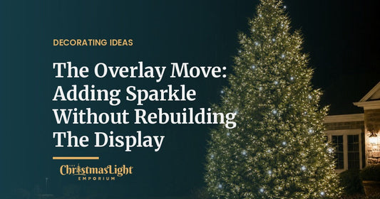 Large evergreen tree at night covered in steady warm white lights with bright cool white sparkle points scattered across it