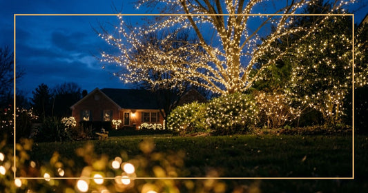 Featured image of LED twinkle Christmas lights with star-like shimmer on trees at dusk
