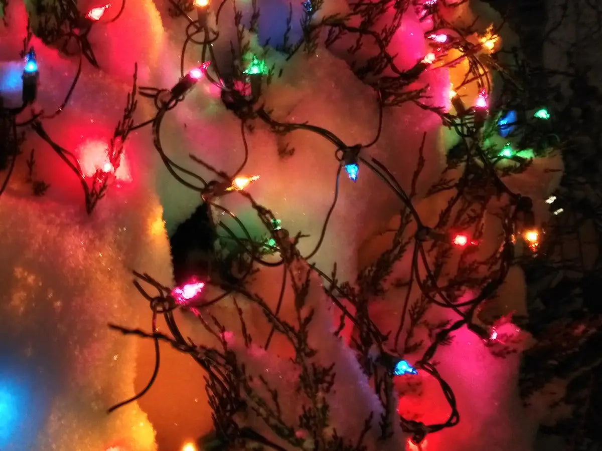filet lumineux de Noël